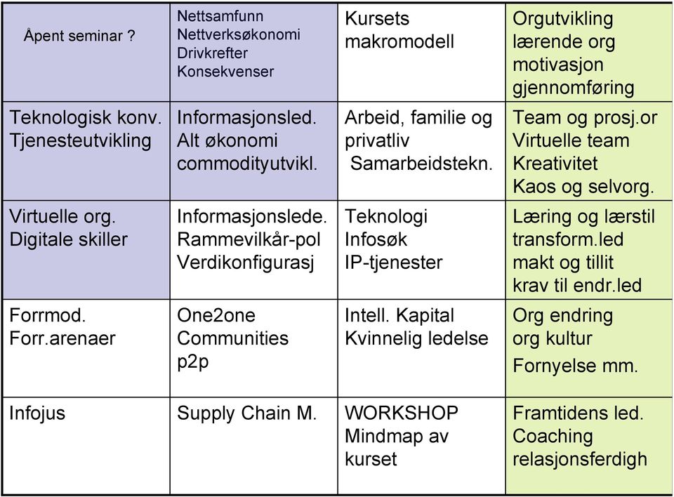 Virtuelle org. Digitale skiller Informasjonslede. Rammevilkår-pol Verdikonfigurasj Teknologi Infosøk IP-tjenester Læring og lærstil transform.led makt og tillit krav til endr.