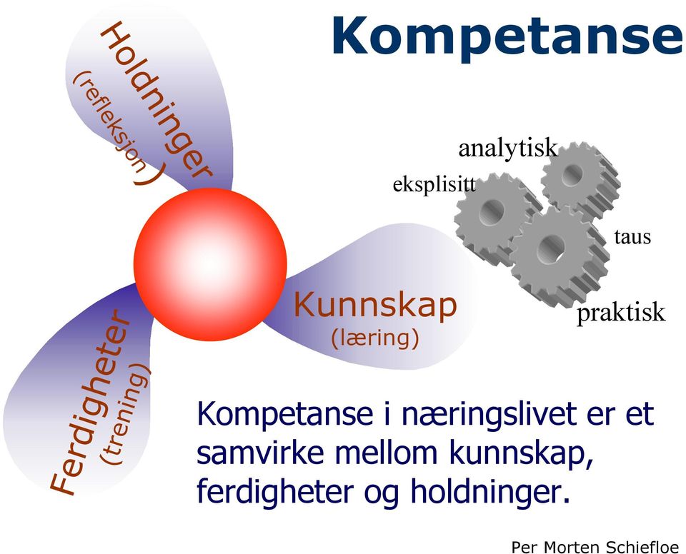 (læring) praktisk Kompetanse i næringslivet er et