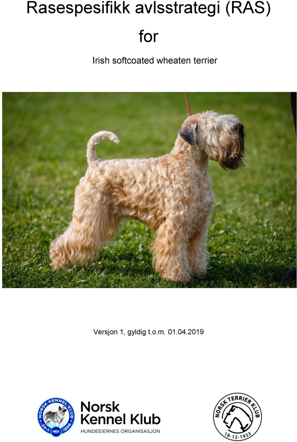 wheaten terrier Versjon 1,