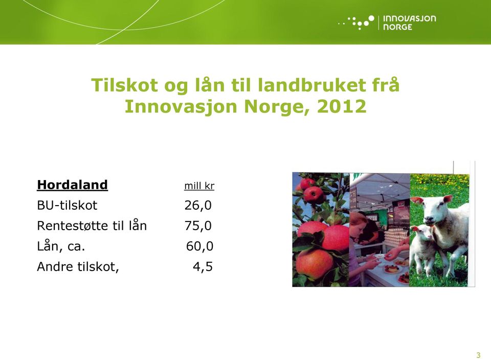 kr BU-tilskot 26,0 Rentestøtte til