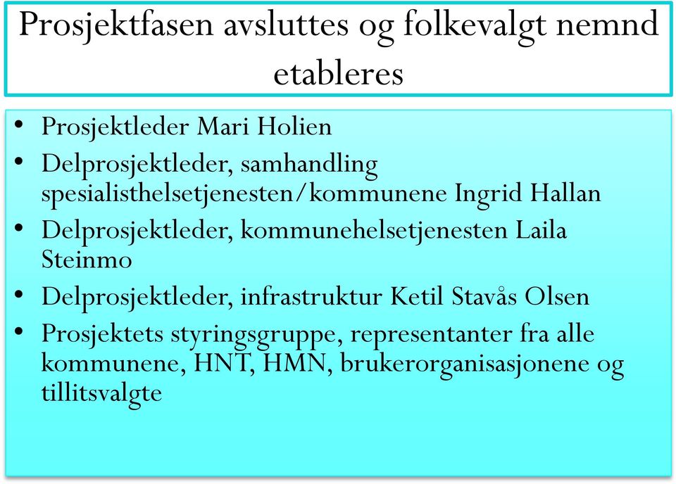 Delprosjektleder, kommunehelsetjenesten Laila Steinmo Delprosjektleder, infrastruktur Ketil