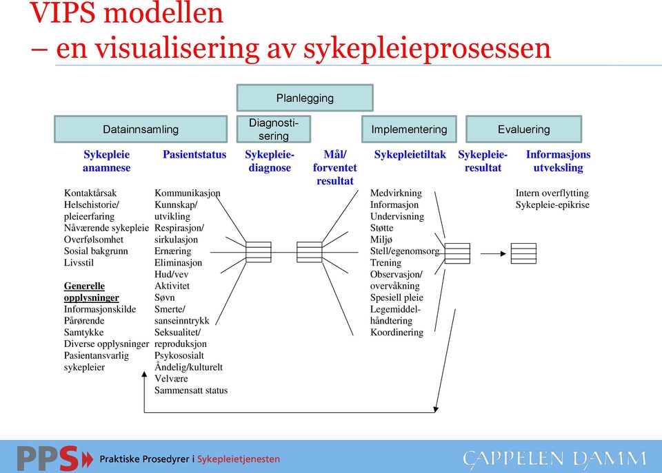 utvikling Respirasjon/ sirkulasjon Ernæring Eliminasjon Hud/vev Aktivitet Søvn Smerte/ sanseinntrykk Seksualitet/ reproduksjon Psykososialt Åndelig/kulturelt Velvære Sammensatt status Mål/ forventet