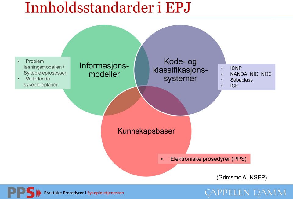Informasjonsmodeller Kode- og klassifikasjonssystemer ICNP