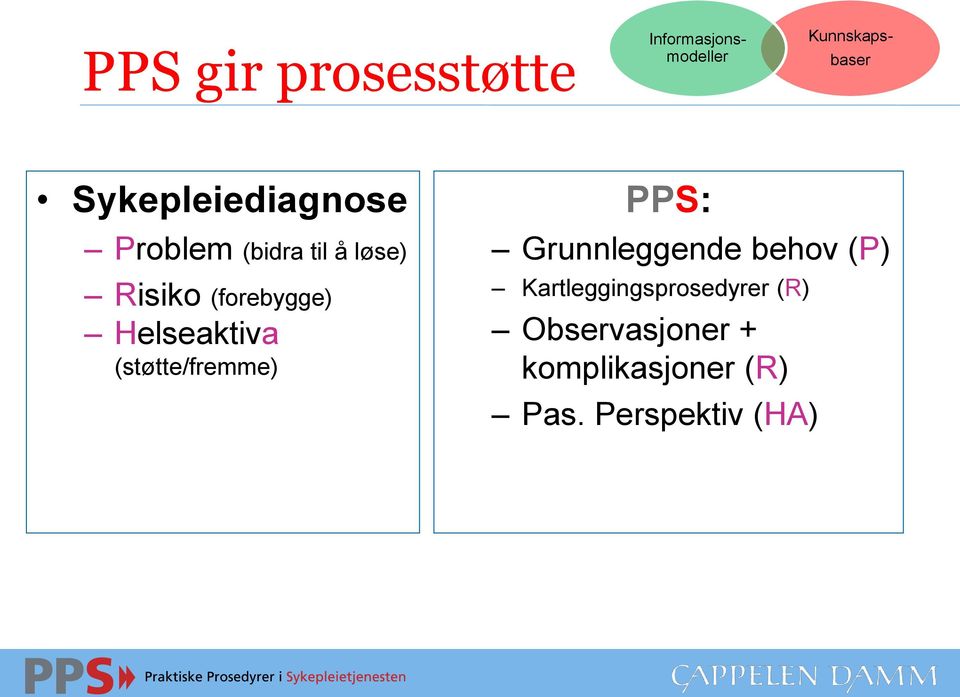 Helseaktiva (støtte/fremme) PPS: Grunnleggende behov (P)