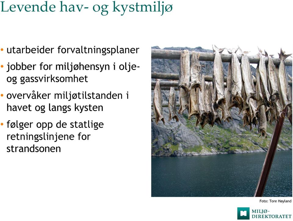 miljøtilstanden i havet og langs kysten følger opp de