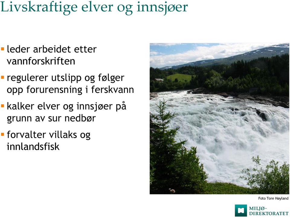 forurensning i ferskvann kalker elver og innsjøer på