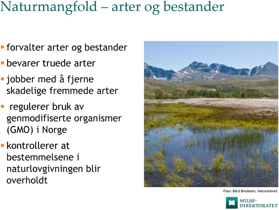 bruk av genmodifiserte organismer (GMO) i Norge kontrollerer at