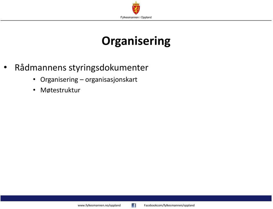 styringsdokumenter 