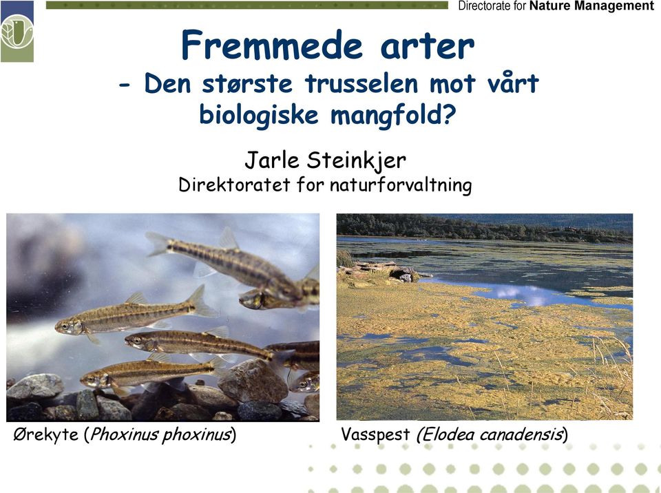 Jarle Steinkjer Direktoratet for naturforvaltning