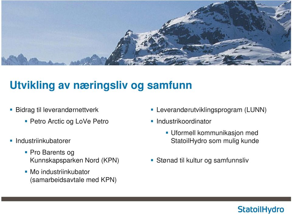 industriinkubator (samarbeidsavtale med KPN) Leverandørutviklingsprogram (LUNN)