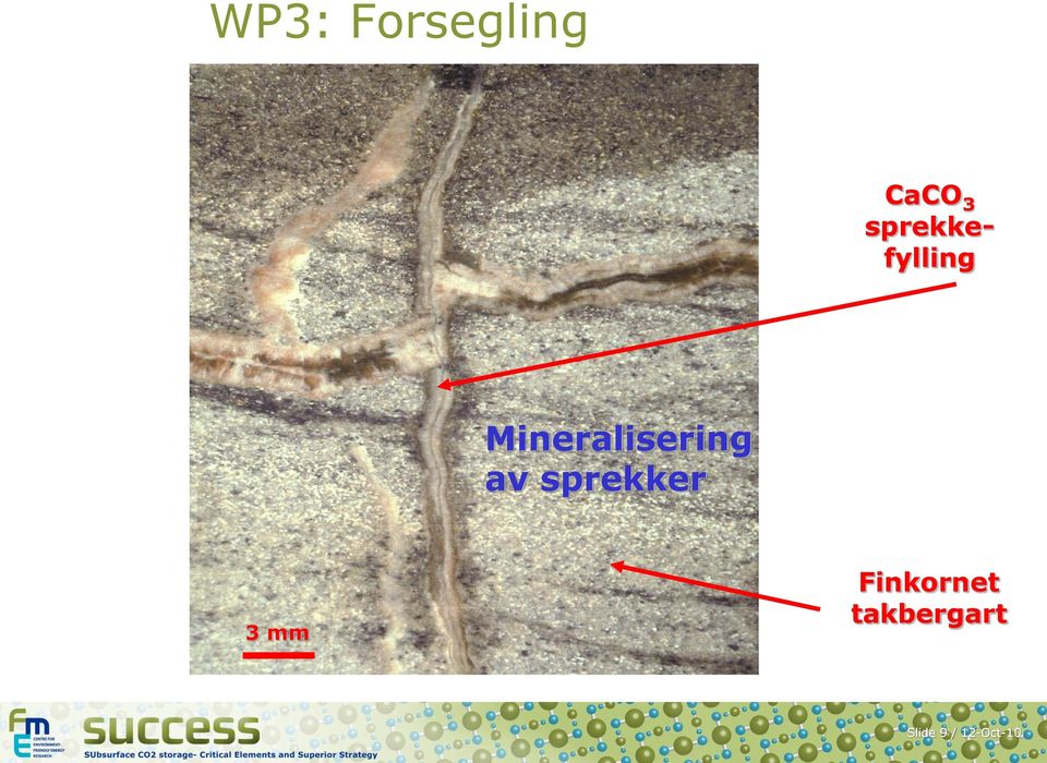 Mineralisering av sprekker