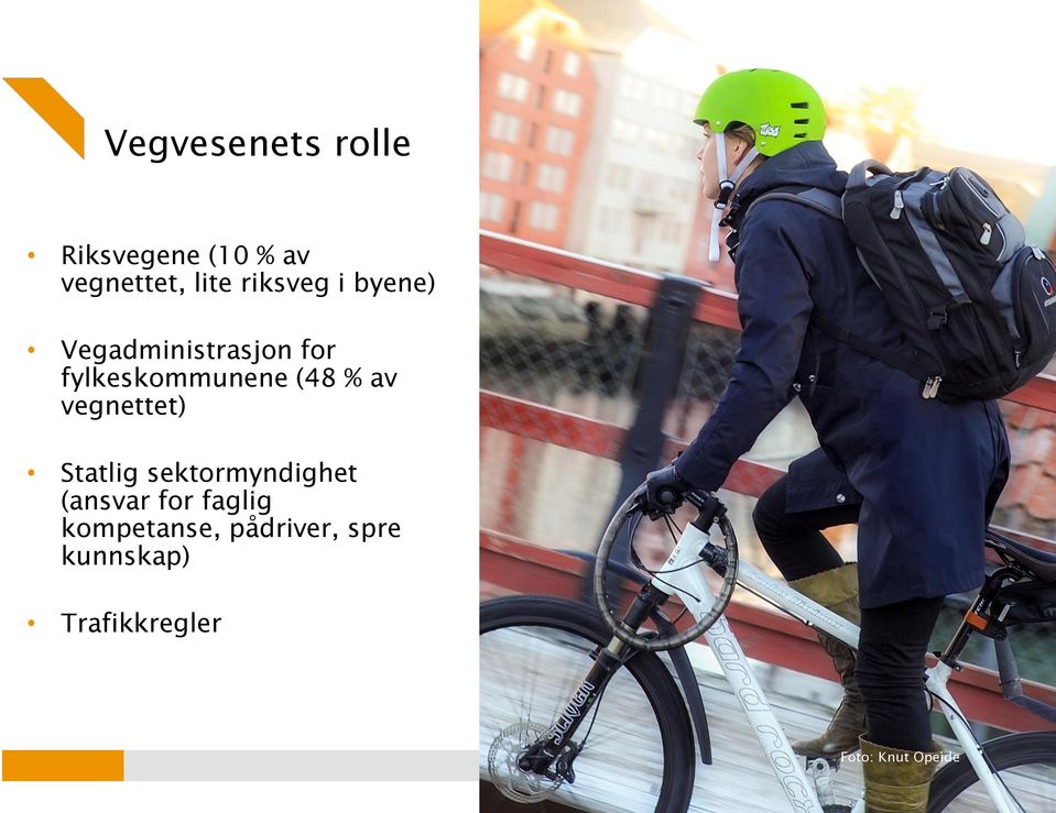 % av vegnettet) Statlig sektormyndighet (ansvar for faglig