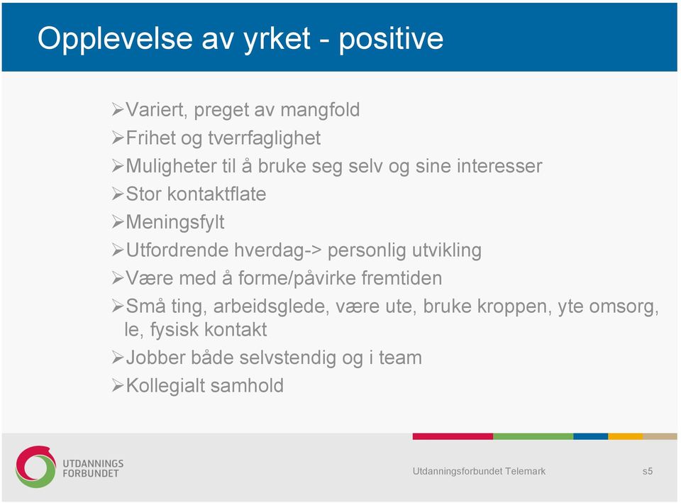 personlig utvikling Være med å forme/påvirke fremtiden Små ting, arbeidsglede, være ute, bruke