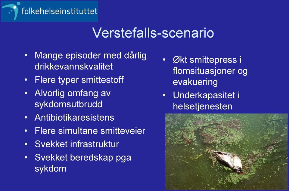 Flere simultane smitteveier Svekket infrastruktur Svekket beredskap pga