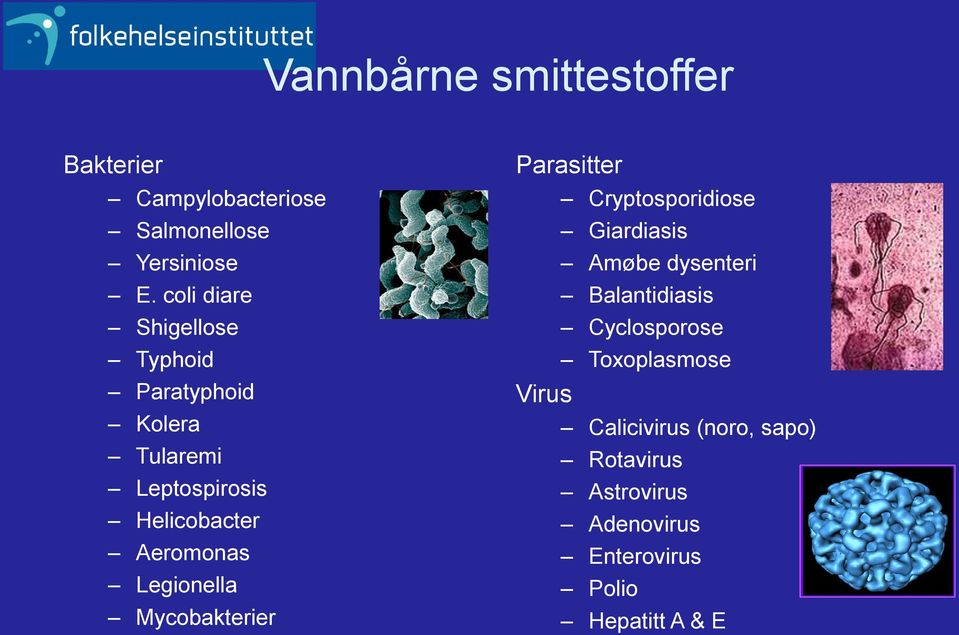 Legionella Mycobakterier Parasitter Virus Cryptosporidiose Giardiasis Amøbe dysenteri