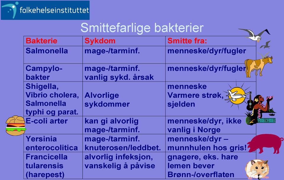 E-coli arter Yersinia enterocolitica Francicella tularensis (harepest) mage-/tarminf. vanlig sykd.