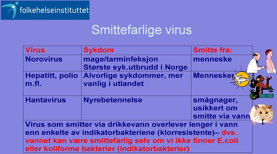 vanlig i utlandet Hantavirus Nyrebetennelse smågnager, usikkert om smitte via vann Virus som smitter via drikkevann