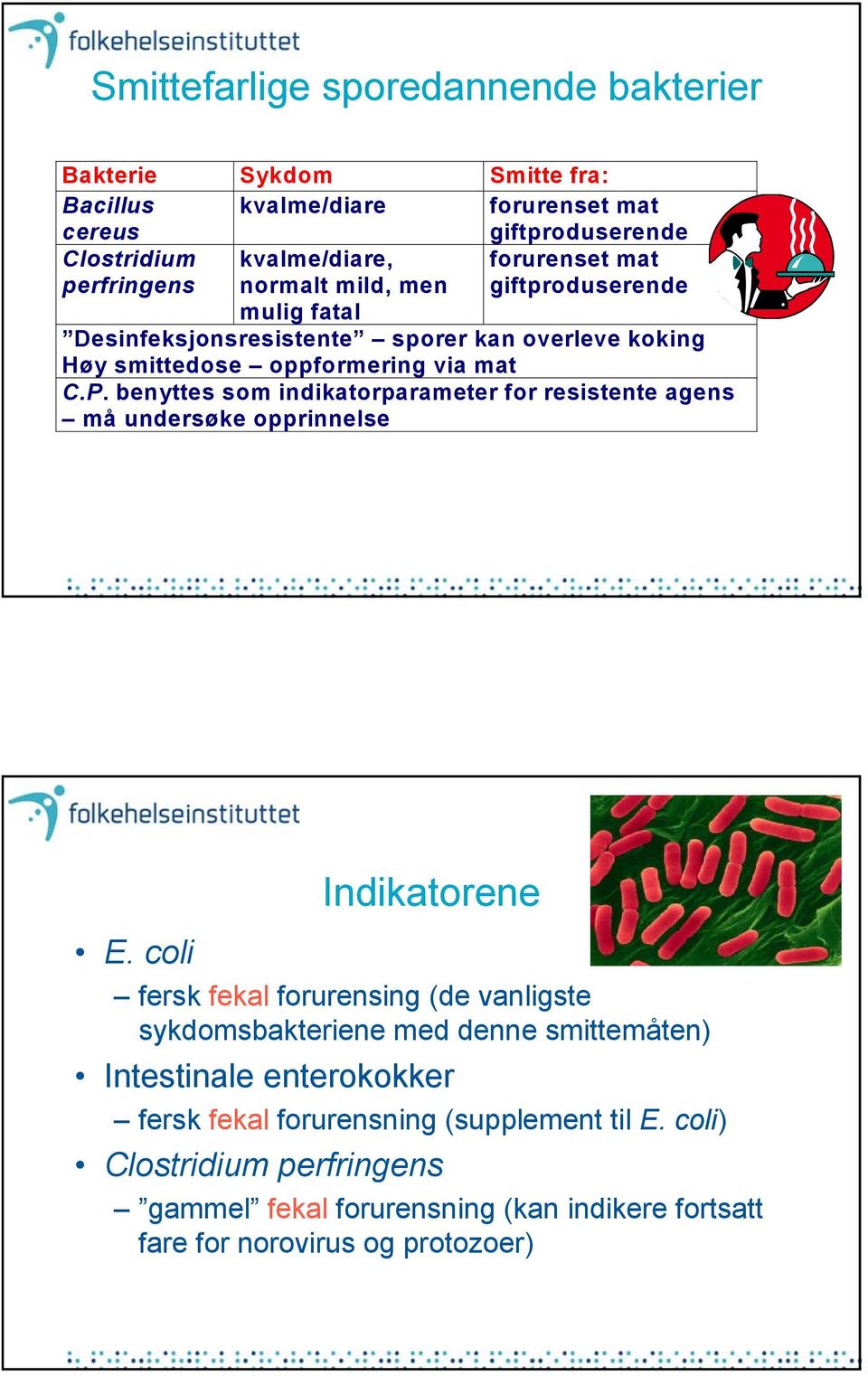 benyttes som indikatorparameter for resistente agens må undersøke opprinnelse E.