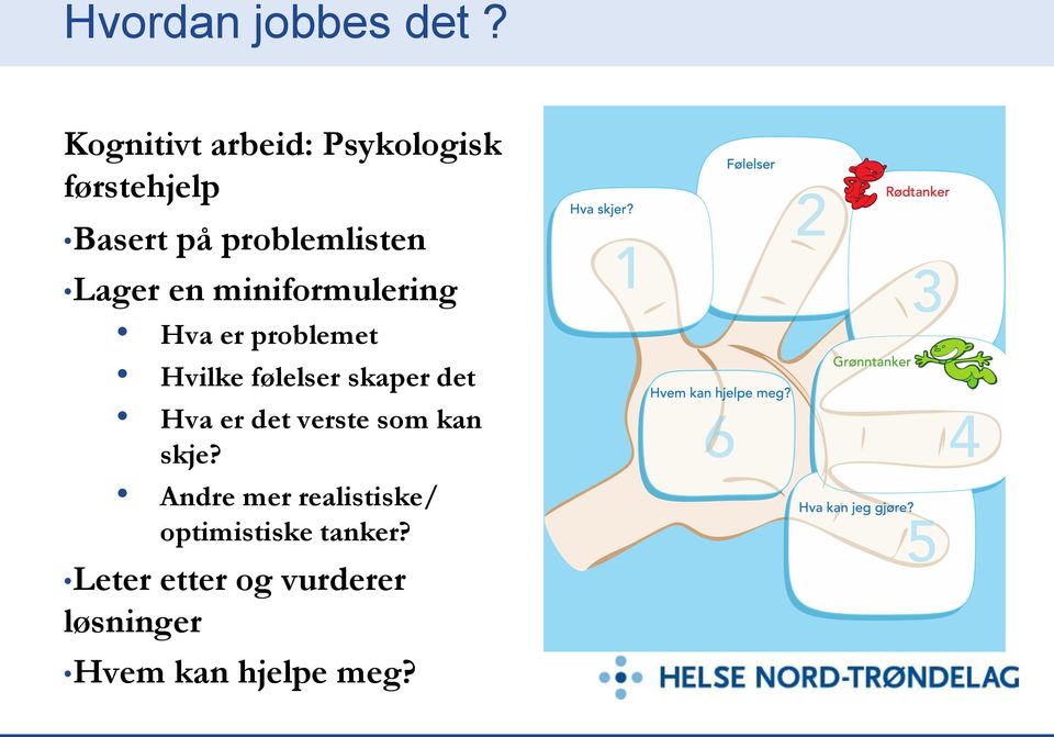 en miniformulering Hva er problemet Hvilke følelser skaper det Hva er