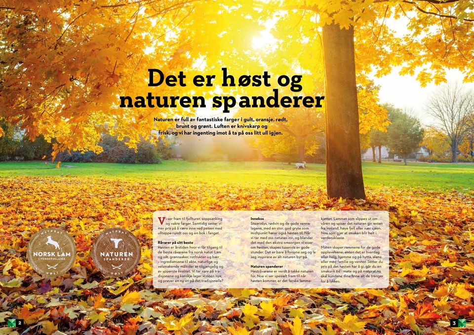 Råvarer på sitt beste Høsten er årstiden hvor vi får tilgang til de beste råvarene fra norsk natur.
