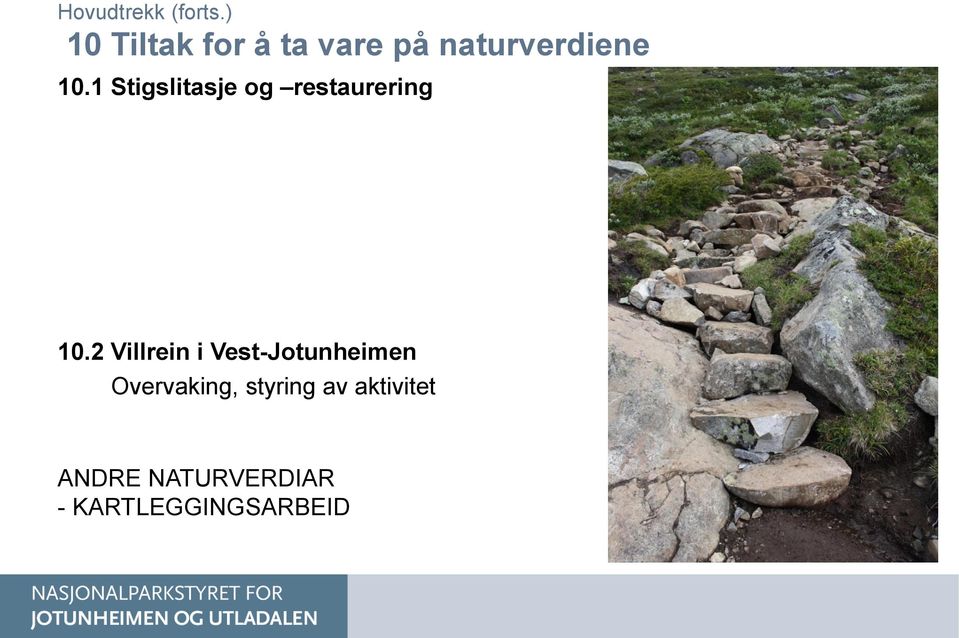 2 Villrein i Vest-Jotunheimen Overvaking,