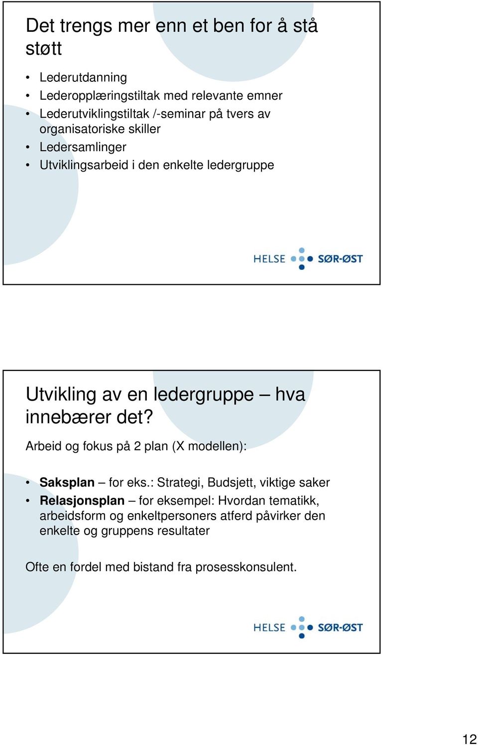 det? Arbeid og fokus på 2 plan (X modellen): Saksplan for eks.