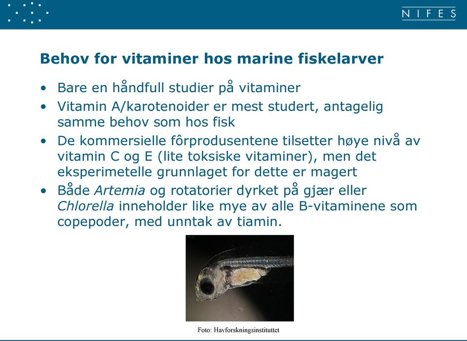 (lite toksiske vitaminer), men det eksperimetelle grunnlaget for dette er magert Både Artemia og rotatorier dyrket på