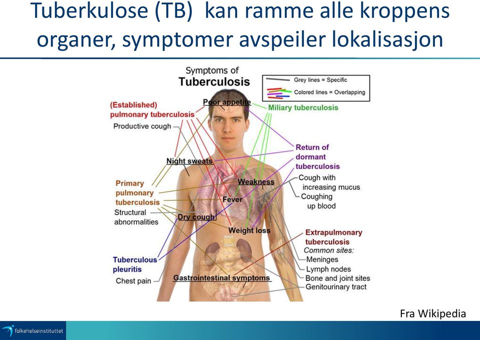 organer, symptomer