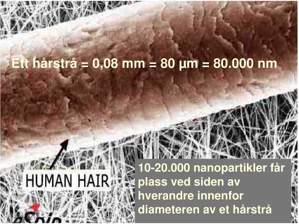 000 nanopartikler får plass ved