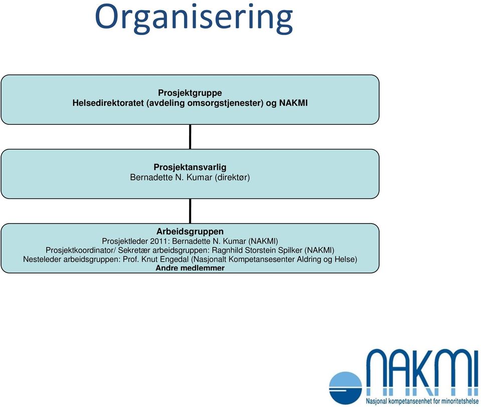 Kumar (direktør) Arbeidsgruppen Prosjektleder 2011: Bernadette N.