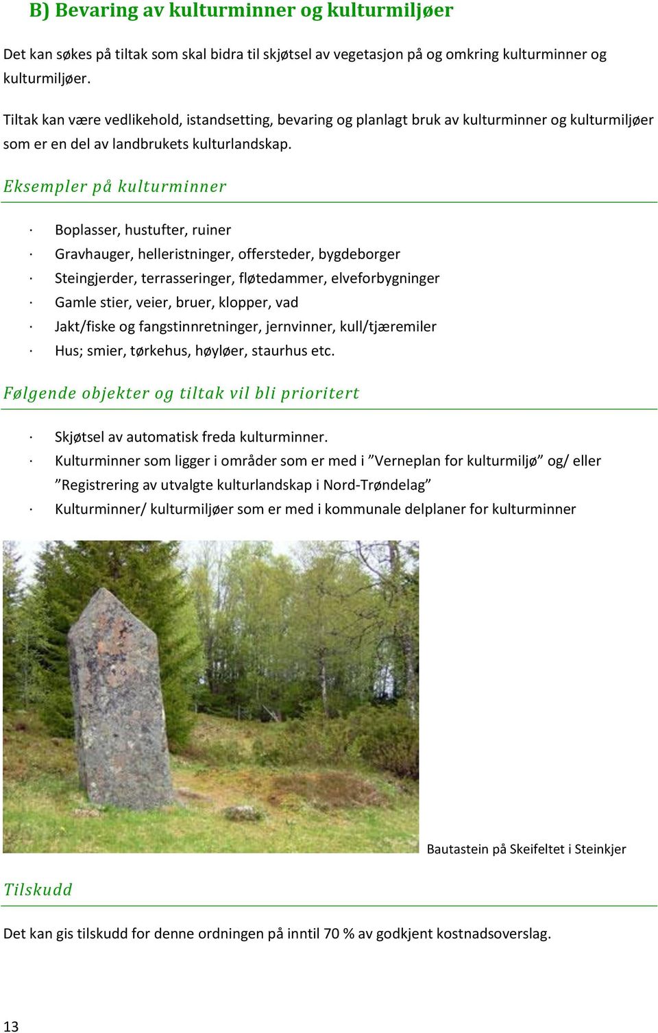 Eksempler på kulturminner Boplasser, hustufter, ruiner Gravhauger, helleristninger, offersteder, bygdeborger Steingjerder, terrasseringer, fløtedammer, elveforbygninger Gamle stier, veier, bruer,