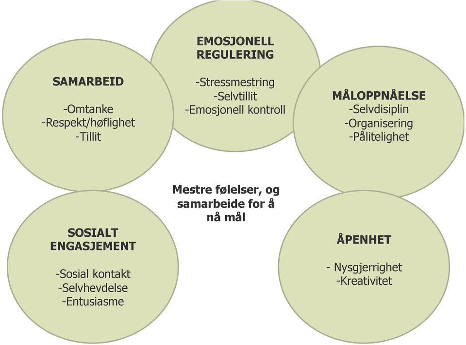 Organisering - Pålitelighet SOSIALT ENGASJEMENT - Sosial kontakt - Selvhevdelse -