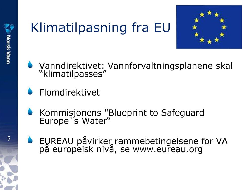 Flomdirektivet Kommisjonens "Blueprint to Safeguard