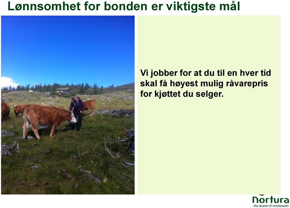 du til en hver tid skal få