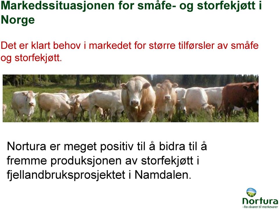 storfekjøtt.