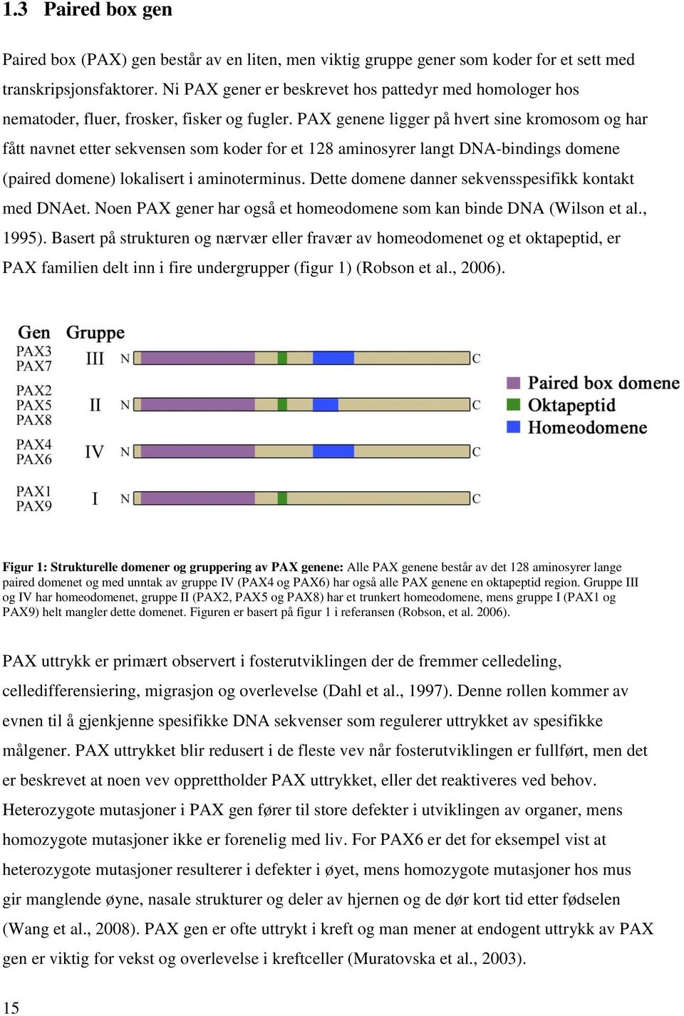 PAX genene ligger på hvert sine kromosom og har fått navnet etter sekvensen som koder for et 128 aminosyrer langt DNA-bindings domene (paired domene) lokalisert i aminoterminus.