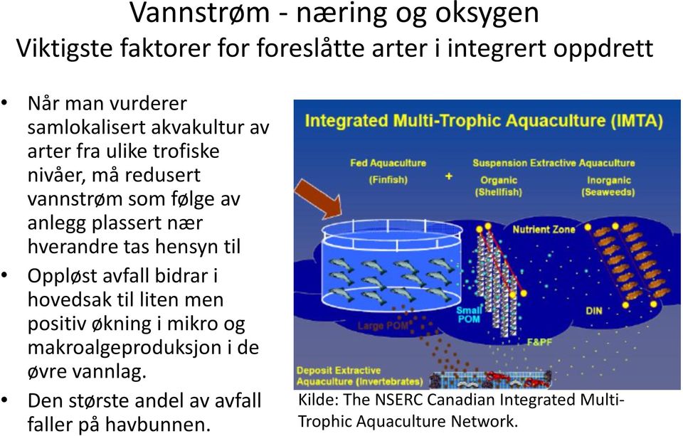 hverandre tas hensyn til Oppløst avfall bidrar i hovedsak til liten men positiv økning i mikro og makroalgeproduksjon i