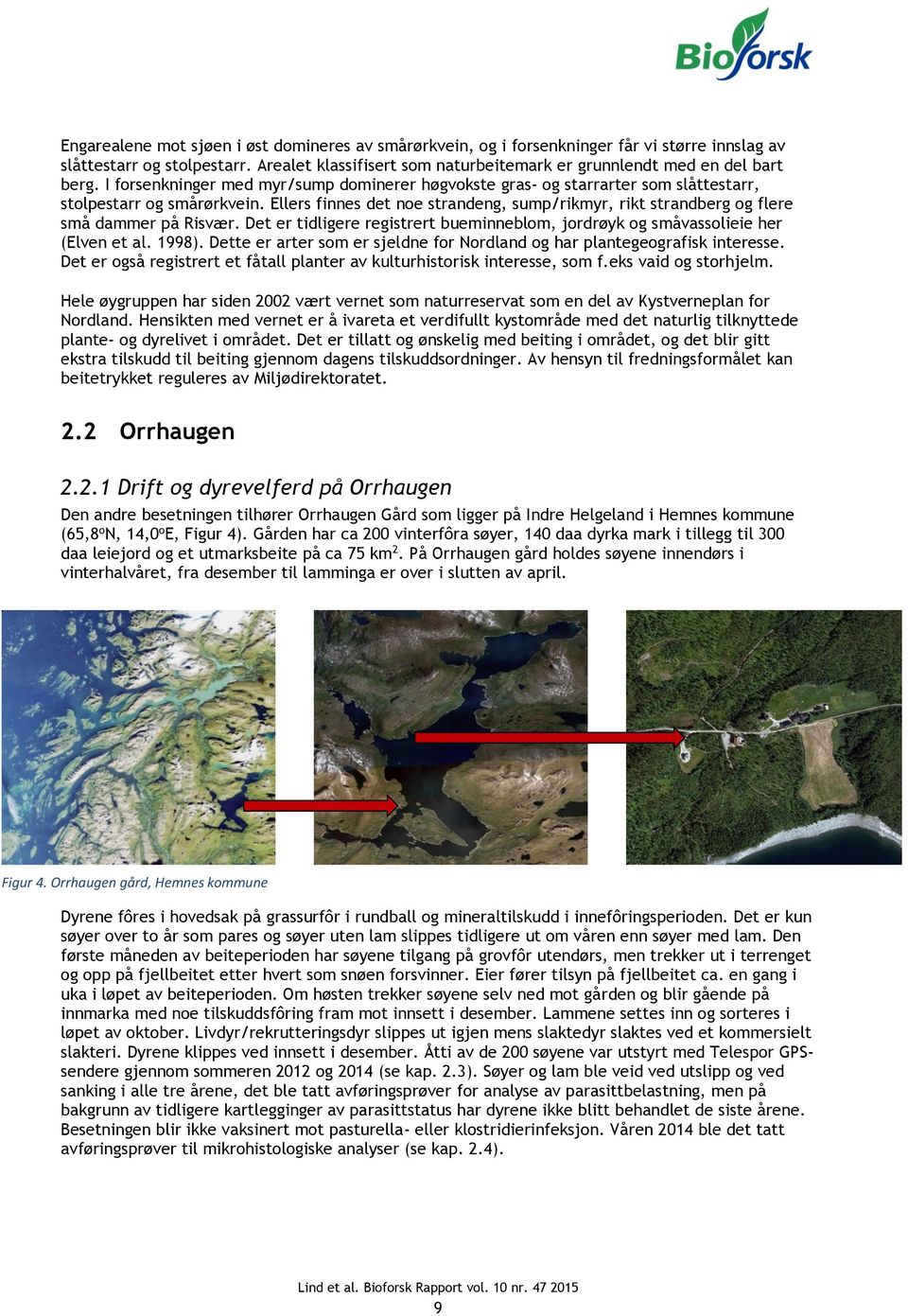 Ellers finnes det noe strandeng, sump/rikmyr, rikt strandberg og flere små dammer på Risvær. Det er tidligere registrert bueminneblom, jordrøyk og småvassolieie her (Elven et al. 1998).