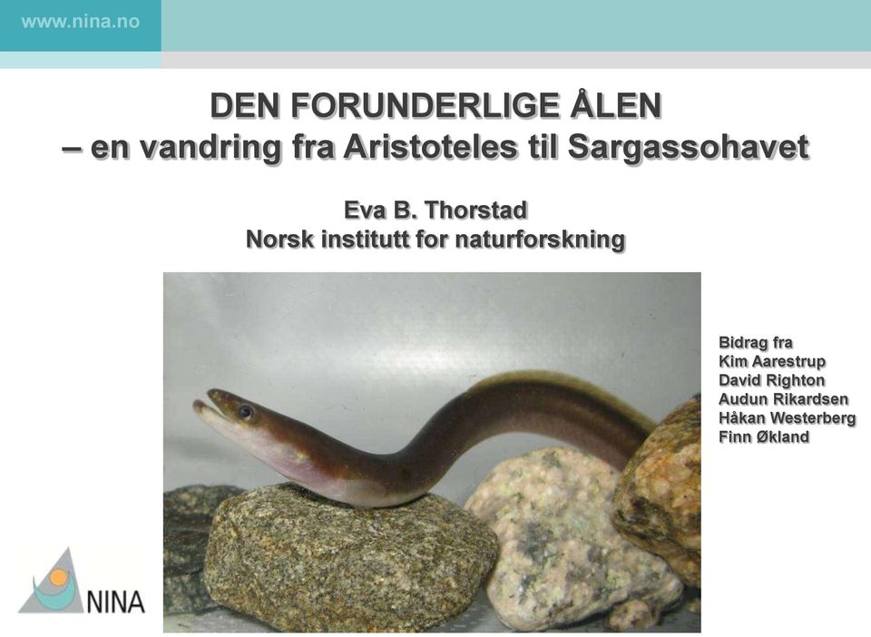 Thorstad Norsk institutt for naturforskning Bidrag