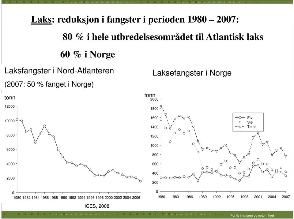 Laksefangster i Norge 2000 1800 1600 1400 1200 1000 800 600 400 200 Elv Sjø Totalt 0 1980 1982 1984 1986