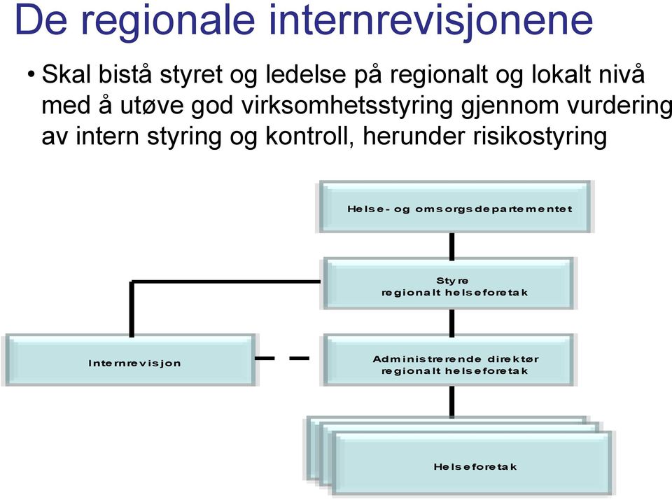 herunder risikostyring Helse- og omsorgsdepartementet Styre regionalt helseforetak