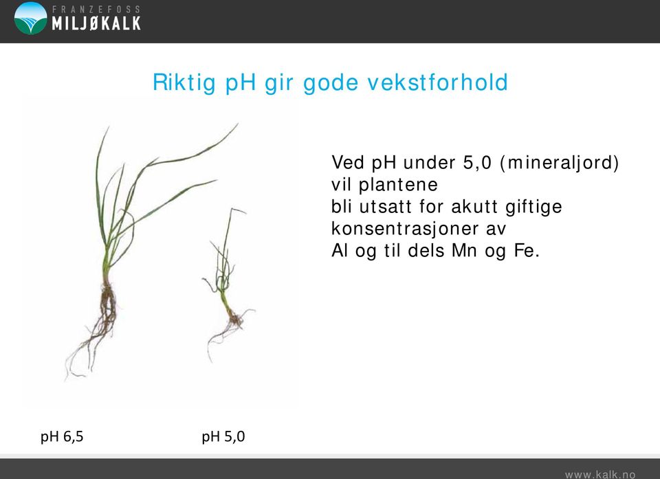 utsatt for akutt giftige konsentrasjoner