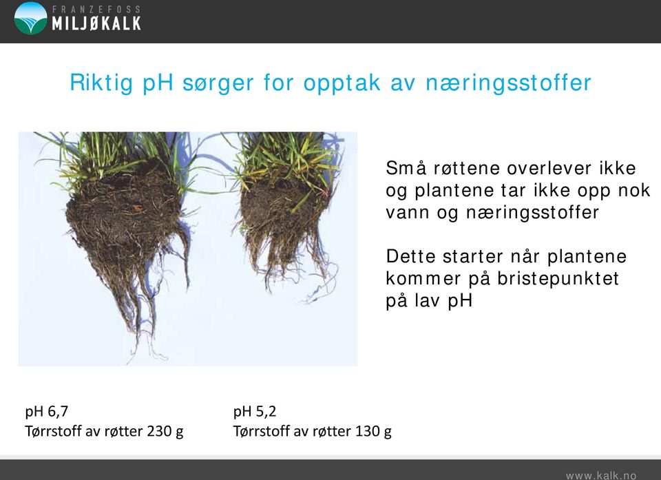 næringsstoffer Dette starter når plantene kommer på