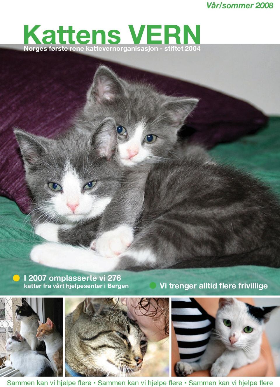 Kattens VERN. Vår/sommer I 2007 omplasserte vi 276 katter fra vårt  hjelpesenter i Bergen. Vi trenger alltid flere frivillige - PDF Gratis  nedlasting