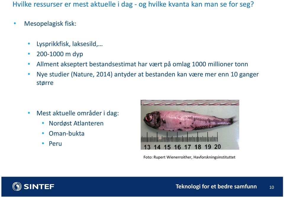 1000 millioner tonn Nye studier (Nature, 2014) antyder at bestanden kan være mer enn 10 ganger større Mest