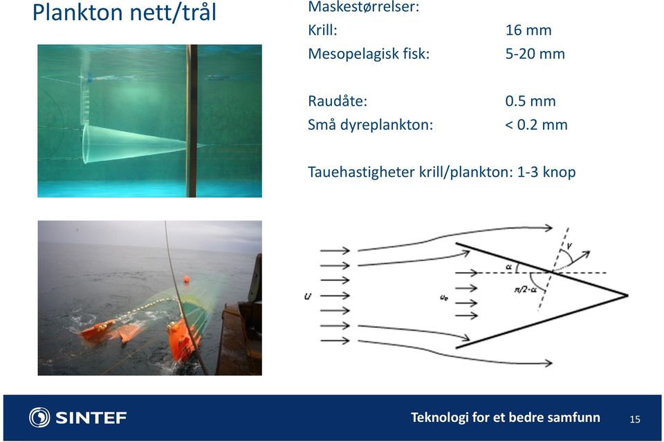 dyreplankton: 0.5 mm < 0.