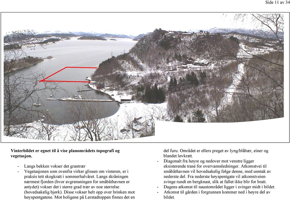 Langs skråningen nærmest fjorden (hvor avgrensningen for småbåthavnen er antydet) vokser det i større grad trær av noe størrelse (hovedsakelig bjørk).
