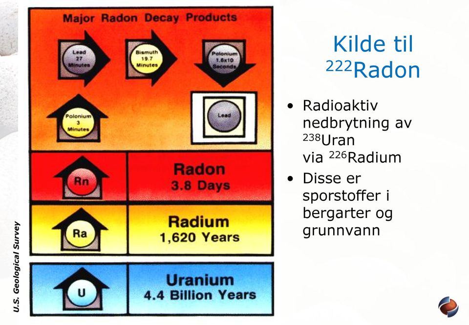 av 238 Uran via 226 Radium Disse