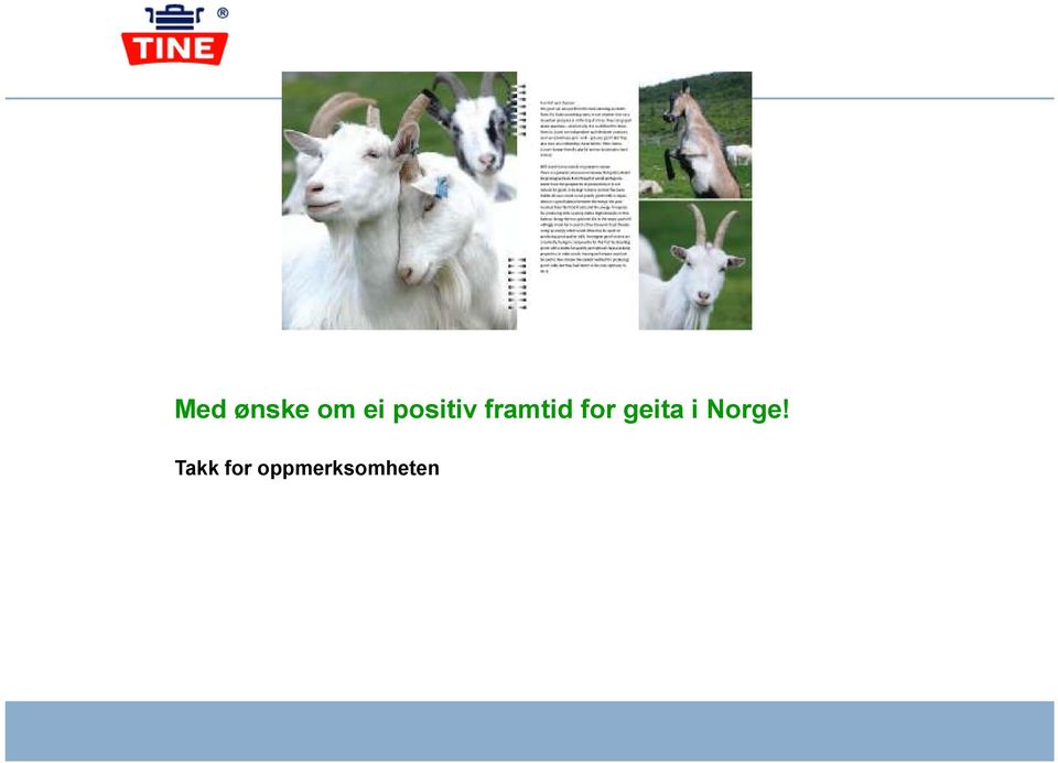 for geita i Norge!