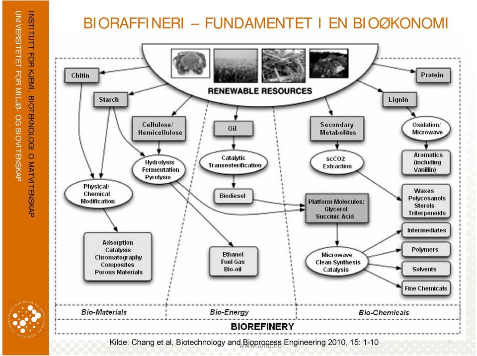 Biotechnology and Bioprocess